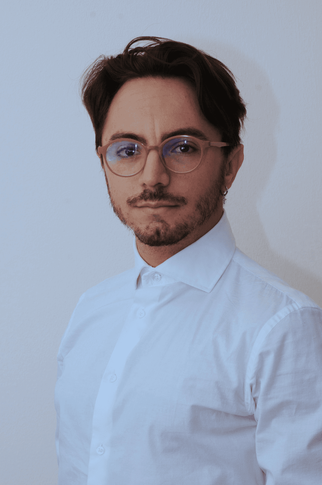 Luigi Catania developer